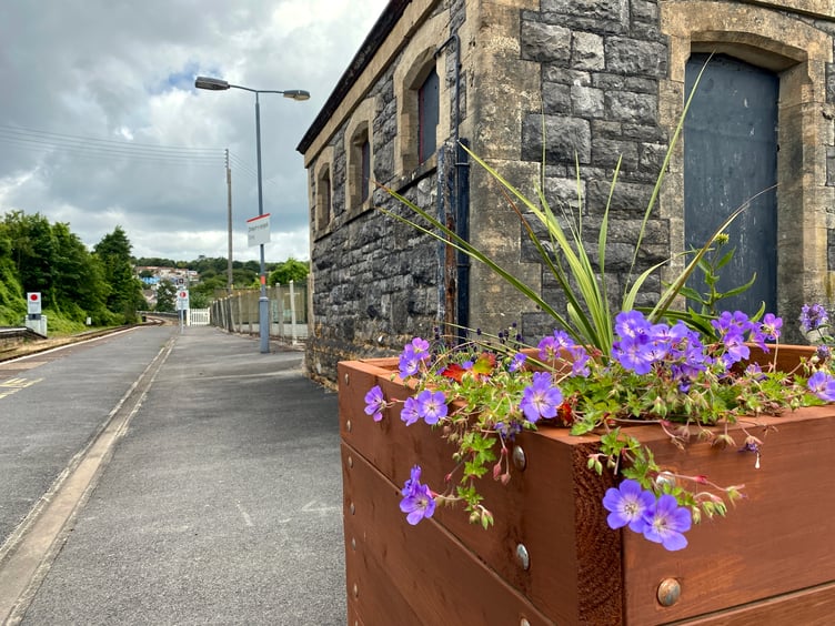 Colourful planter at Tenby Railway Station