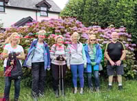 July was a mixed bag for Steps2Health walkers