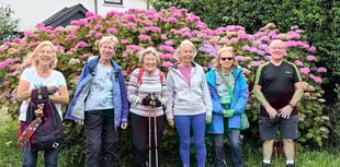 July was a mixed bag for Steps2Health walkers