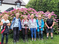 July was a mixed bag for Steps2Health walkers