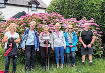 July was a mixed bag for Steps2Health walkers