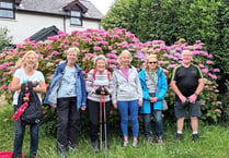 July was a mixed bag for Steps2Health walkers