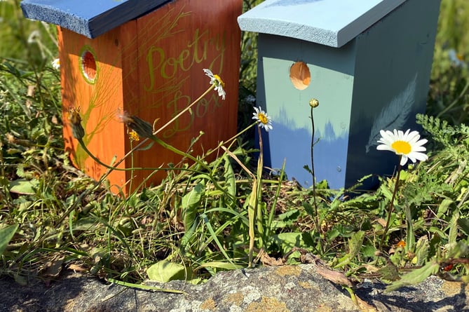 Follow the Poetry Box Trail, inspired by The Lost Words, and note down your experiences connecting with nature in the Pembrokeshire Coast National Park.