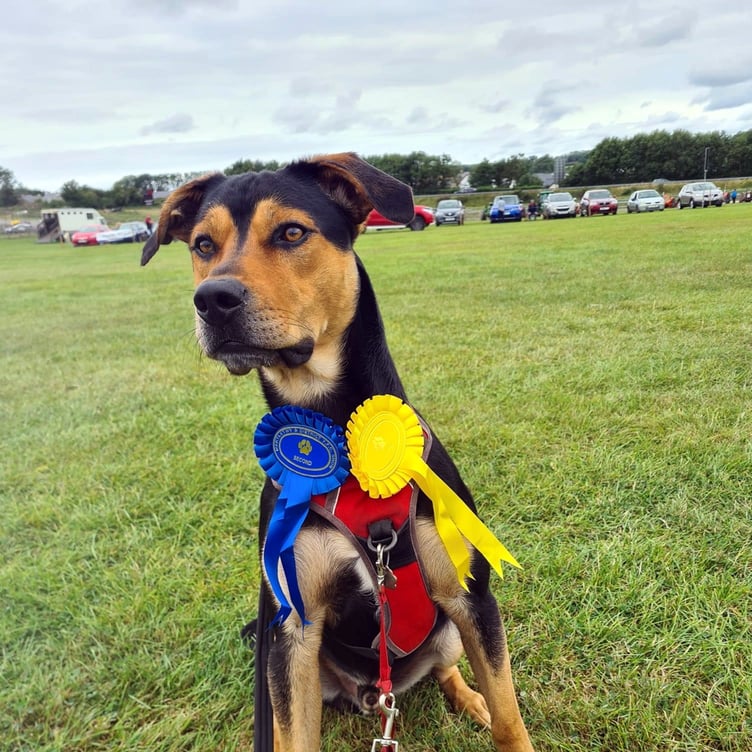 The 70th Annual Martletwy Show is on Wednesday, August 23, 2023
at Carew Airfield, Sageston, Tenby, Pembrokeshire SA70 8SX.