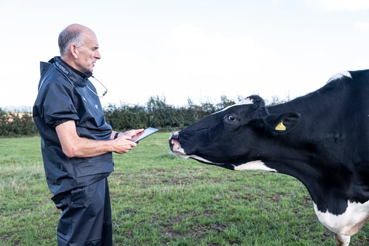 Vet Robert Smith at Parc Gwyn Farm, Llanvapley, Abergavenny
