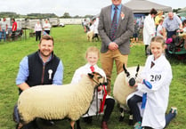 Sun shines on Martletwy YFC Show for jam-packed day of family fun