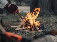 Pembrokeshire Outdoor Project presents Woodland Wellbeing in September