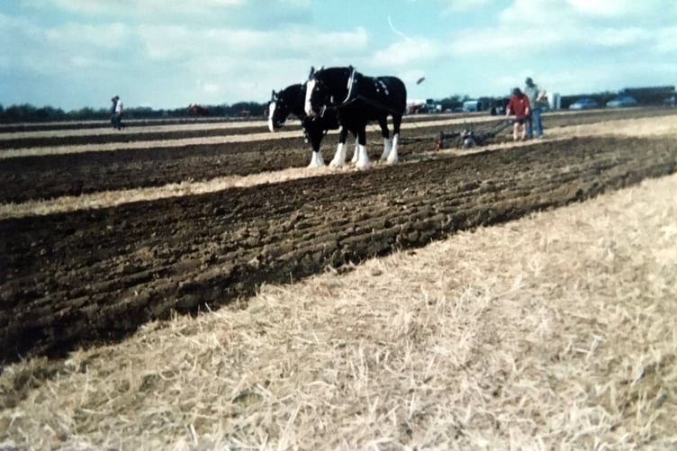 John Fletcher, horse ploughman from East Cardiganshire