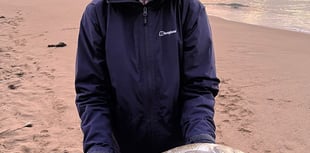 Caldey catch sees fishing novice become ‘totally hooked’