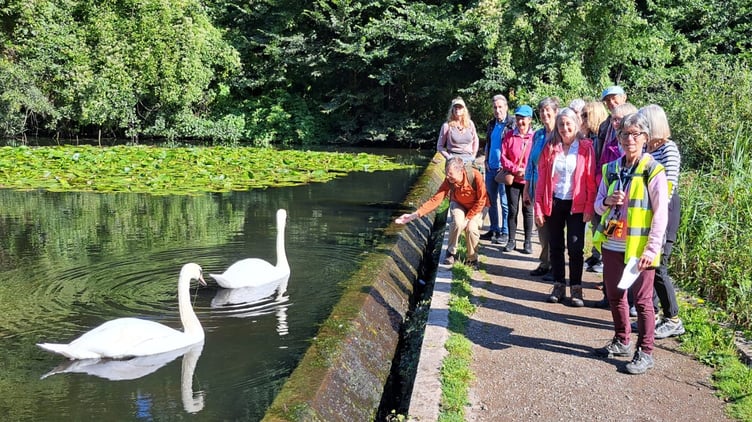 Speedies a the Hidden Bridge, Stackpole