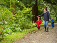This Half Term, visit Colby Woodland Gardens, Dinefwr or Llanerchaeron