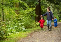 Half Term family adventures at Colby Woodland Gardens, Dinefwr and Llanerchaeron
