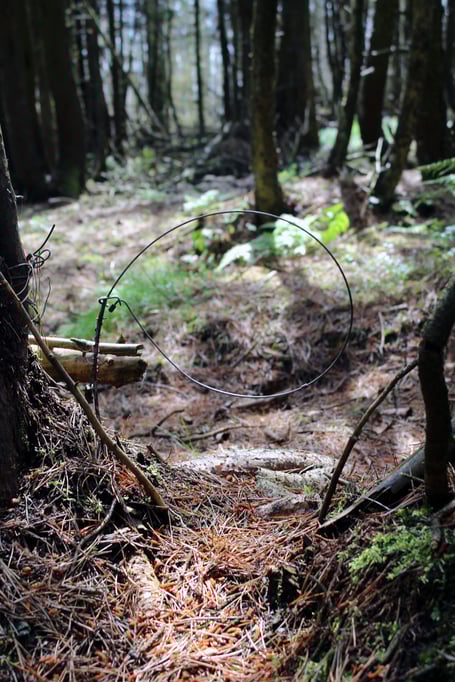 As of today, animal snares like this one are illegal in Wales.