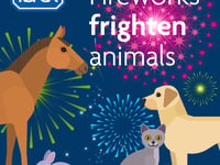 Local councils have backed RSPCA measures to combat fireworks fear