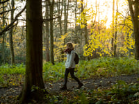 Top places to soak up the best of the autumn colour near you