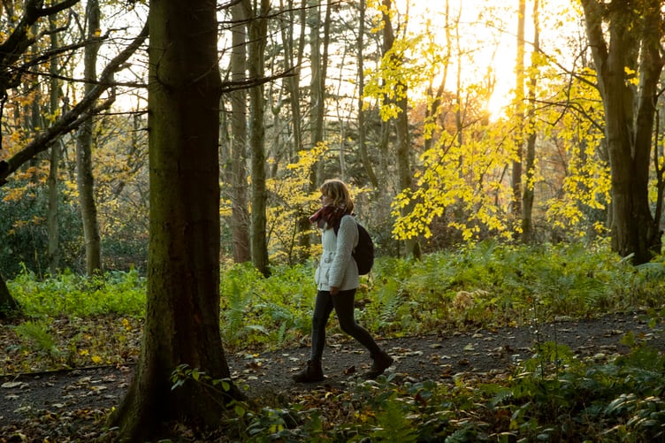 Colby Woodland Garden