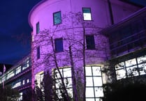 Pembrokeshire lights up County Hall to support Purple Tuesday