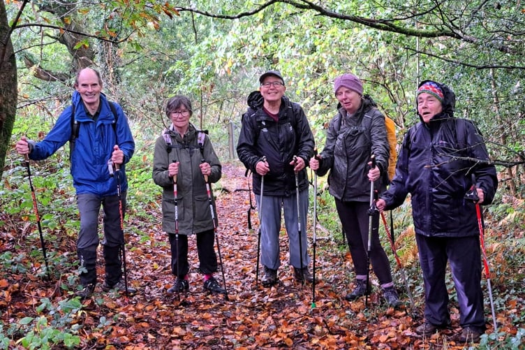 Nordics, wet but happy