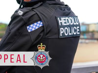 Pedestrian in hospital after collision