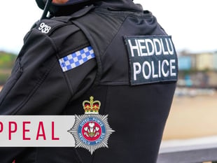 Pedestrian in hospital after collision