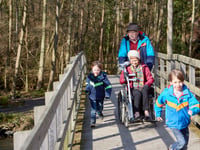 Llanerchaeron near Aberaeron - worth the journey this Christmas