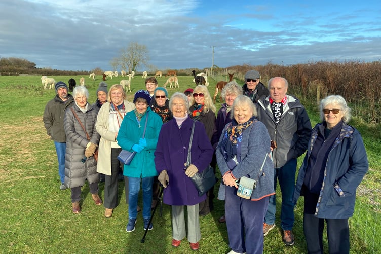 Tenby & District Arts Club Members meeting the alpacas at Ash Farm, near Stepaside.