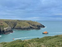 RNLI St Davids cancel exercise launch to rescue dog