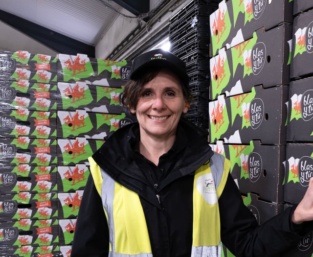 Short-term festive contracts can bring long-term benefits