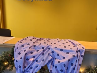 Help Torch Theatre pantomime Dame find her bloomers!