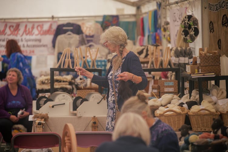 Scene from the 2023 Llandovery Sheep Festival