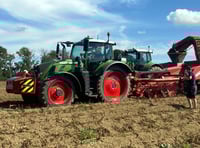 Horticulture Development Scheme grant helps Haverfordwest grower