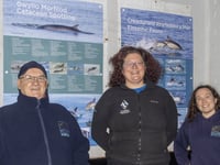 Striking new panels go on display at Pembrokeshire wildlife habitat