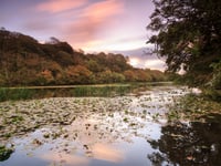 Celebrate St Dwynwen’s Day with a romantic walk at Bosherston