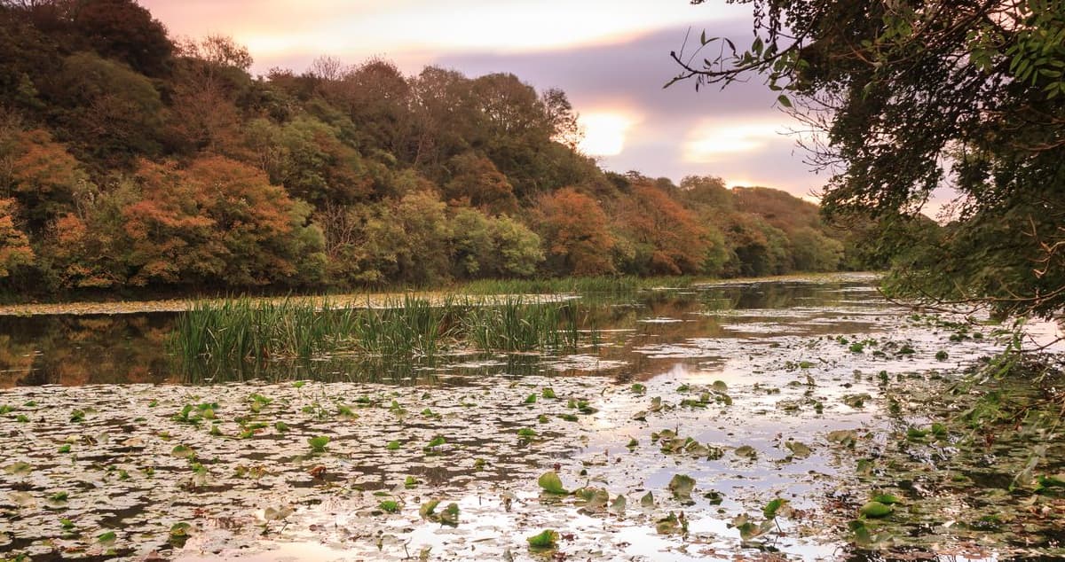 Celebrate St Dwynwen’s Day with a romantic walk at the Stackpole Estate ...