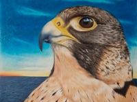 Artists at Narberth gallery Oriel Q soon to spring into life for 2024