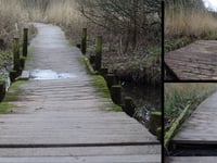 WATCH  Holyland Wood boardwalk closure at Pembroke