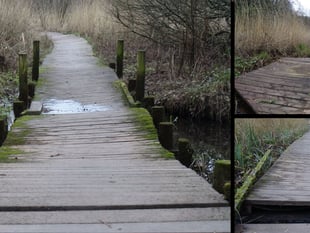 WATCH  Holyland Wood boardwalk closure at Pembroke