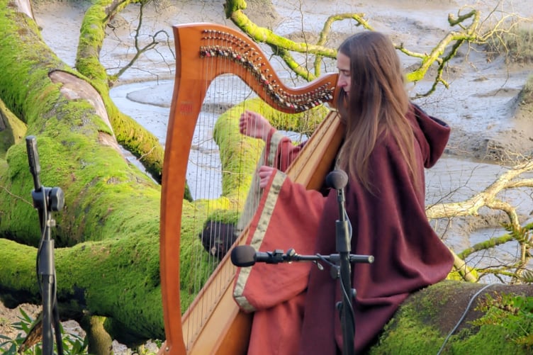Pembrokeshire harpist and songwriter Jess Ward