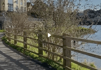 WATCH: A walk around Castle Pond in Pembroke as railing work starts