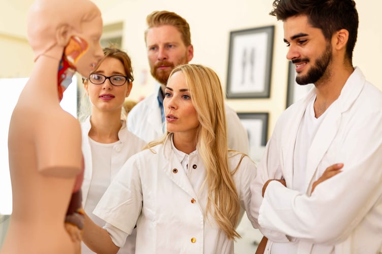 Student of medicine examining anatomical model in laboratory