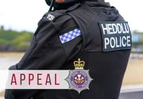 Man arrested following Tenby collision