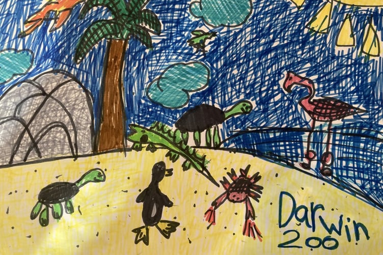 Darwin Doodle by Maybelle, age 6, of Templeton