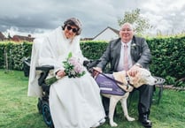 Ask the Expert: How to approach an Assistance Dog at a wedding
