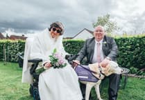 Ask the Expert: How to approach an Assistance Dog at a wedding