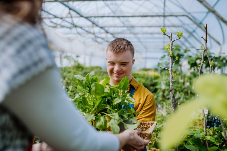 Service user gardening