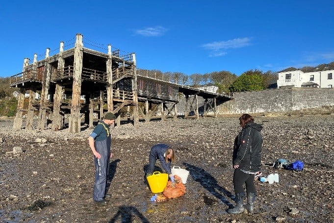 Oysters, Milford Haven waterway