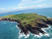 Welcome boost for Skomer and Skokholm's climate-ready future