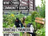 WWF Cymru Community Grants