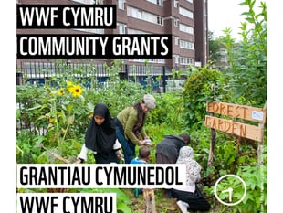 WWF Cymru Community Grants
