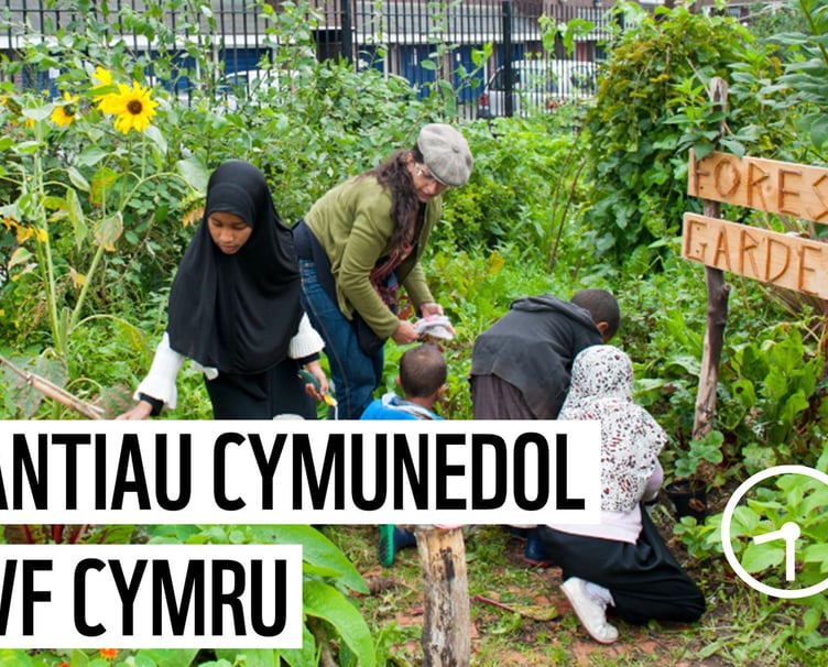 WWF Cymru Community Grants